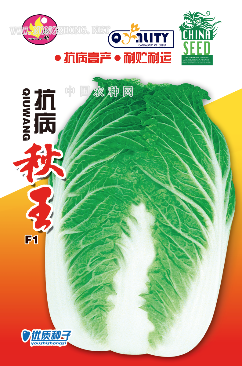 抗病秋王
